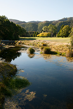 Royal Wellington's Coup set to Boost New Zealand Golf Tourism